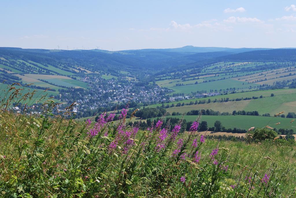 Familien-Ferienwohnung Haustein Konigswalde Quarto foto