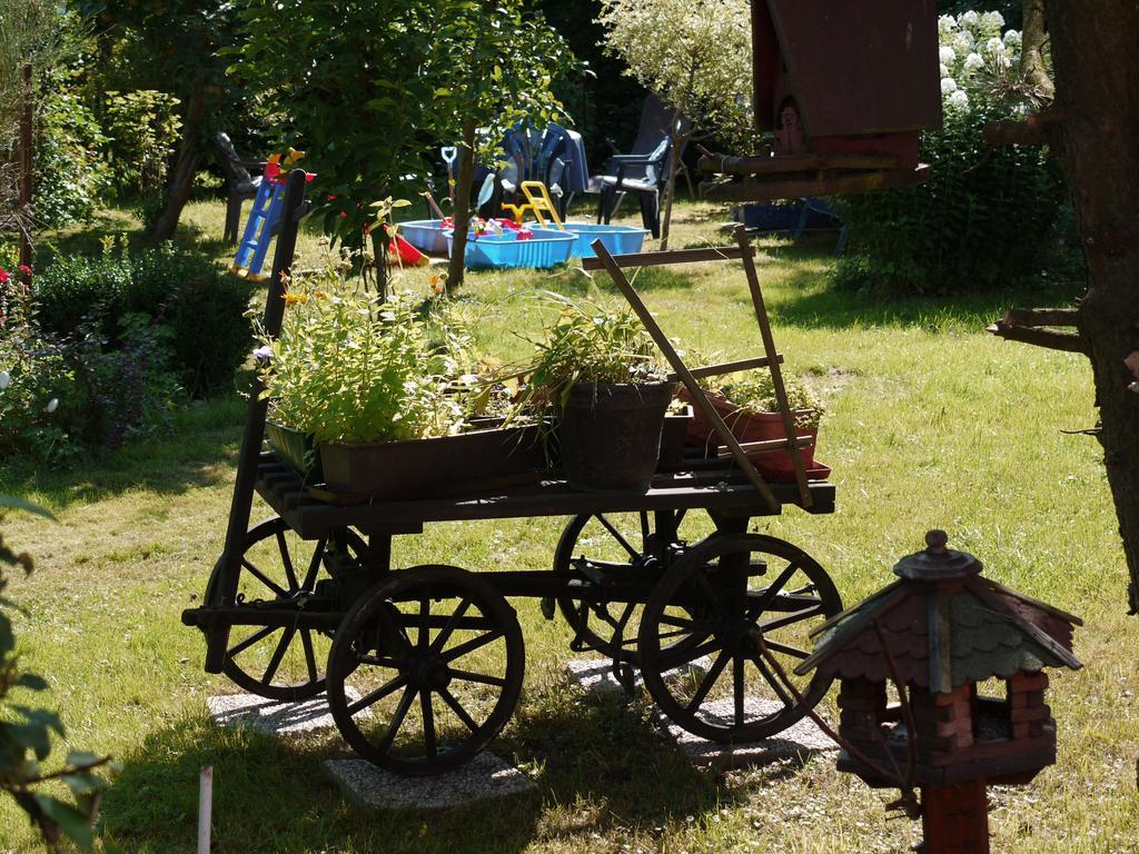 Familien-Ferienwohnung Haustein Konigswalde Exterior foto